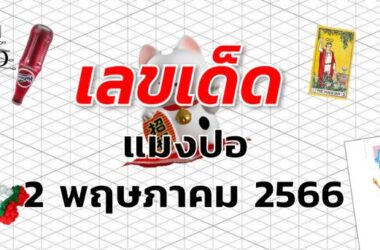 หวยแมงปอ เลขเด็ด งวด 2 พฤษภาคม 2566