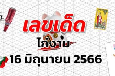 หวยไก่งาม เลขเด็ด งวด 16 มิถุนายน 2566