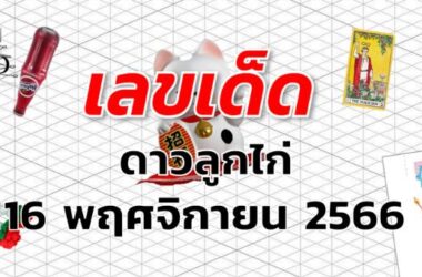 หวยดาวลูกไก่ เลขเด็ด งวด 16 พฤศจิกายน 2566