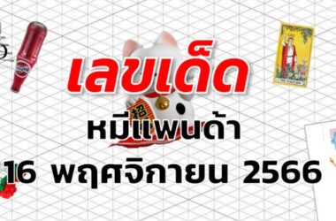 หวยหมีแพนด้า เลขเด็ด งวด 16 พฤศจิกายน 2566